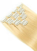 Ash Blonde Lexi Hair Extensions