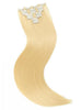 Ash Blonde Lexi Hair Extensions