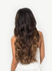 OMBRE CHESTNUT #T1C6